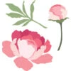 Honey Bee - Lovely Layers: Peony - Honey Cuts