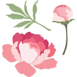 Honey Bee - Lovely Layers: Peony - Honey Cuts