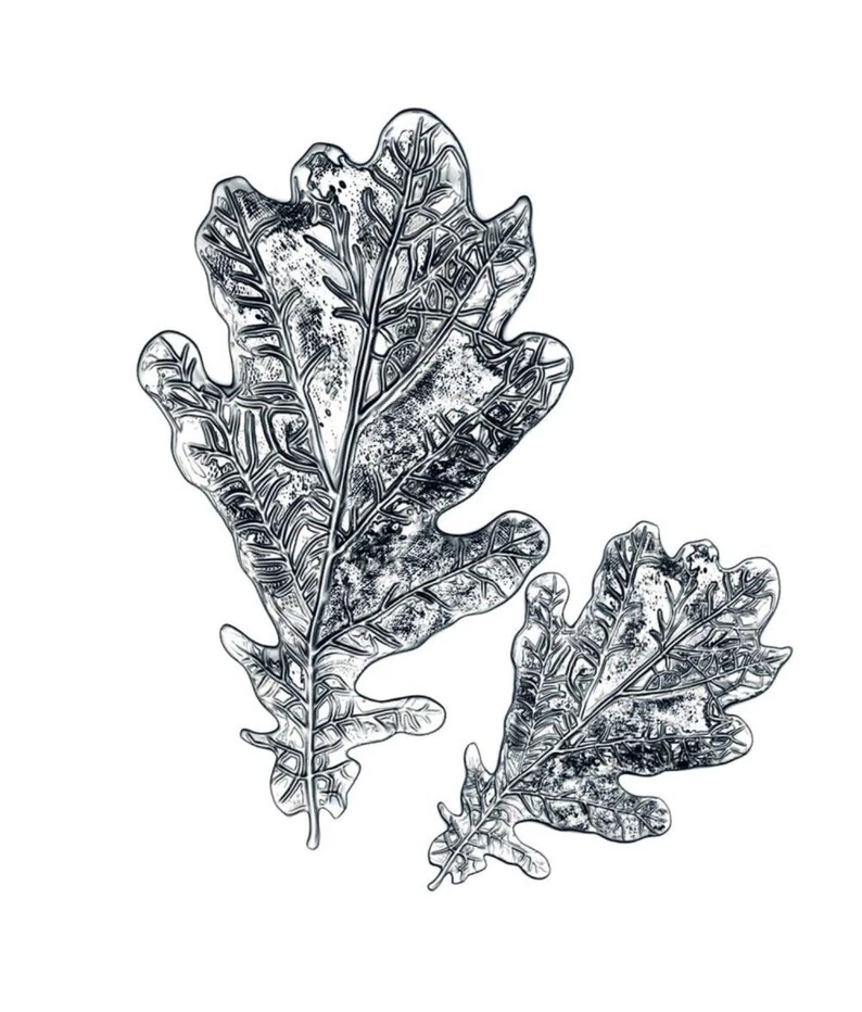 Sizzix 3-D Texture Fades Embossing Folder - Oak Leaf 1 Sizzix 3-D Texture Fades Embossing Folder - Oak Leaf