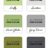 Altenew - Soft Succulents 6 Crisp Dye Ink Mini Cube Set