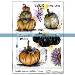 Katzelkraft - PUMPKIN FIELDS - A5 STAMPS